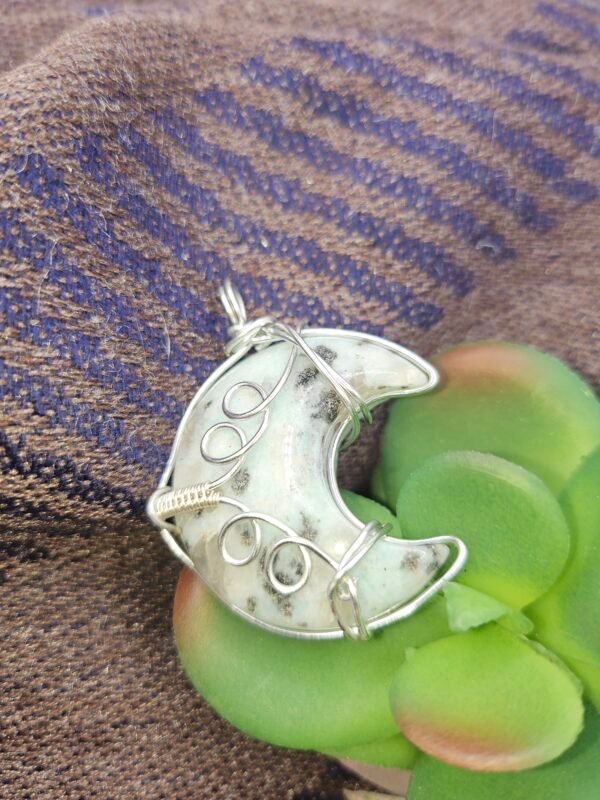 Kiwi Jasper Cresent