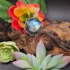 Faceted Labradorite