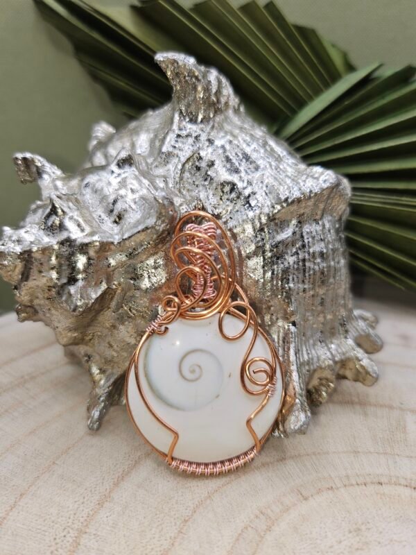 Shiva's Eye