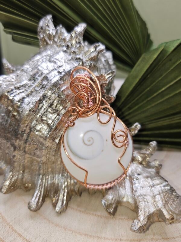 Shiva's Eye