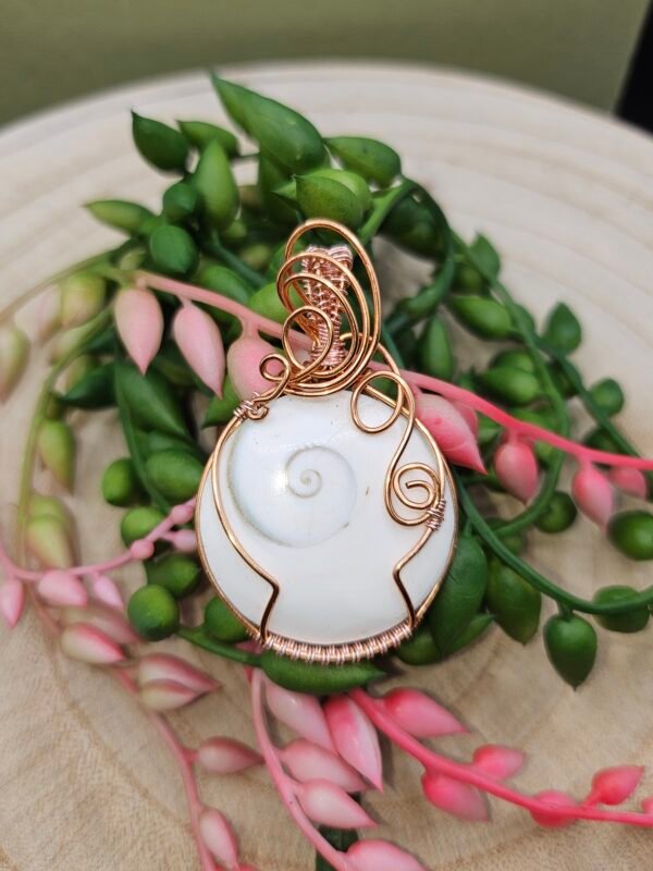 Shiva's Eye