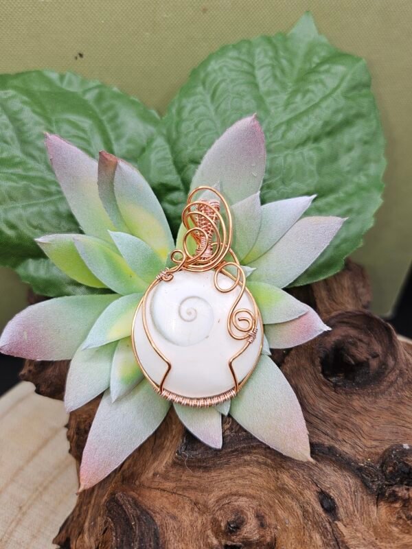 Shiva's Eye
