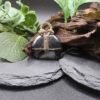 Hematite Crescent