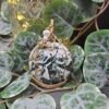 Green and White Jasper