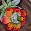 Kiwi Jasper Cresent