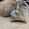 Kiwi Jasper Cresent