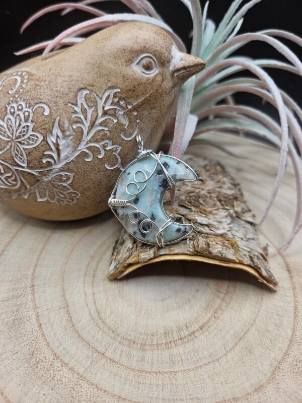 Kiwi Jasper Cresent